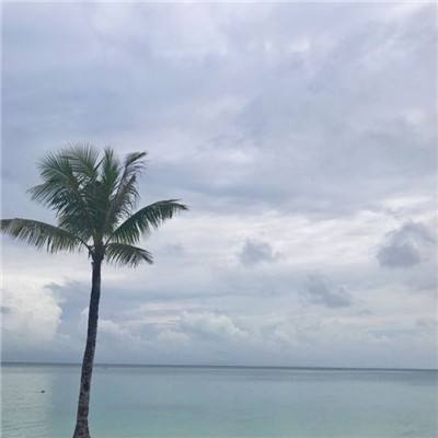 珠宝大亨手游